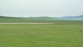 Little Lake in Treeless Green Plain